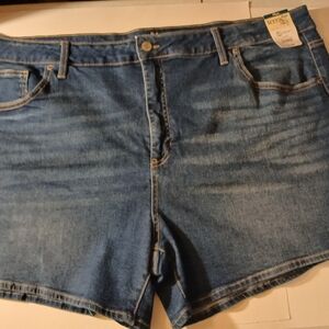 Denim Blue Women's Shorts 26w